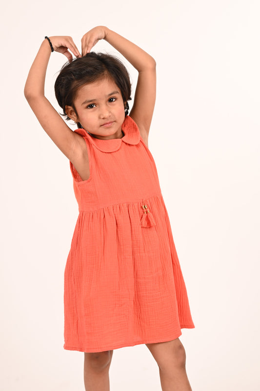 Kids Peter Pan Dress